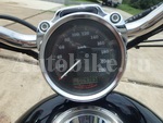     Harley Davidson Sportster XL1200C 2004  17